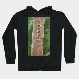 White-lined Bats Hoodie